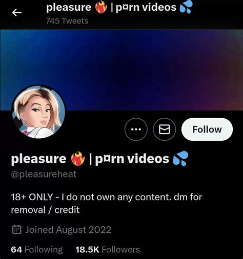 best twitter account for porn